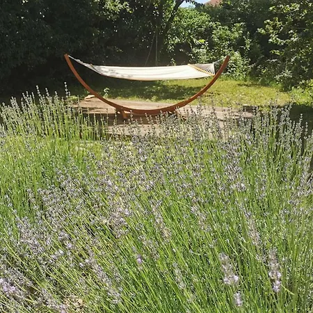 Natural Hébergement de vacances Žminj